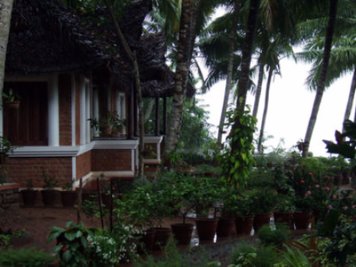 ShinShiva Ayurvedic Ashram Arthiritis Program Kerala Bungalow