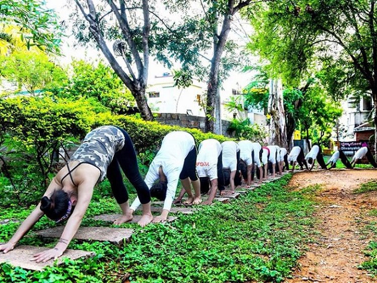 Moksha School Of Yoga Mysore India 11