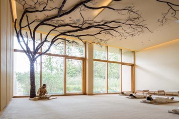 VANA Sleep/ Detox/ Yoga/ Tibetan Garden Room